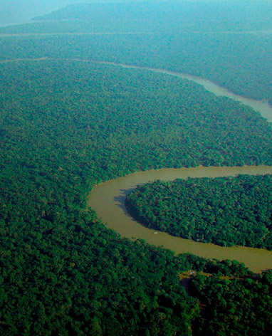 Imagem Descriptive - Are not involved with deforestation in the amazon biome after 2009